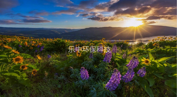 污水處理廠活性污泥法日常管理中，需要監(jiān)測與注意的參數(shù)-樂中環(huán)保