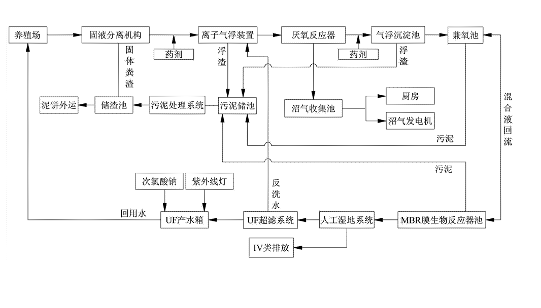 農(nóng)村養(yǎng)殖戶如何低成本有效處理污水，這兩種做法你應該知道!02