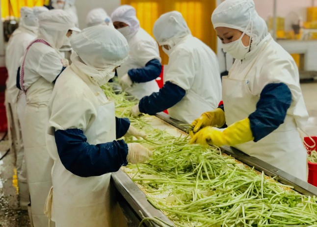 三種食品污水處理設備工藝流程，看看哪種適合您？