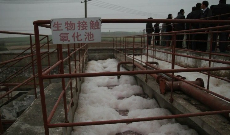 生物接觸氧化池的作用是什么？（生物接觸氧化池去除什么）-01